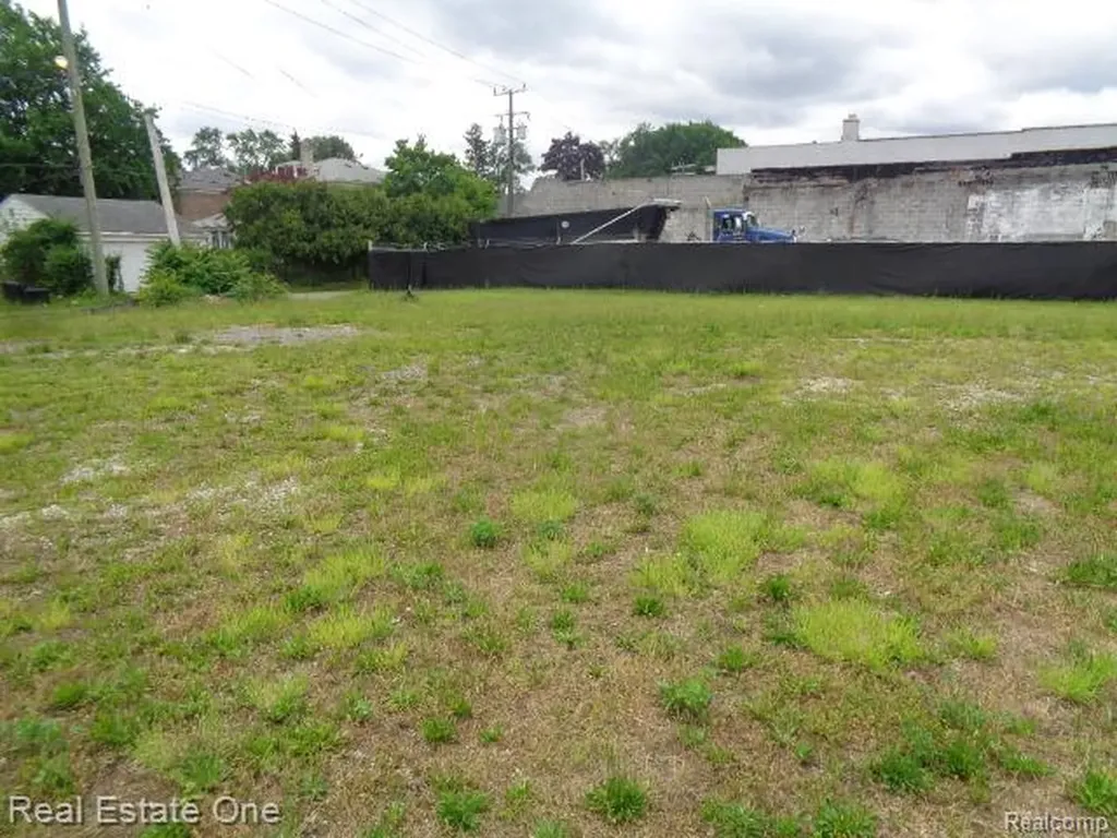 12919 W 7 Mile Road Detroit City MI 48235