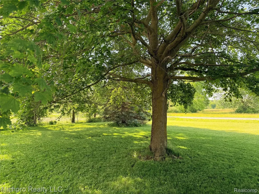 11438 Hill Road Riley Township MI 48041