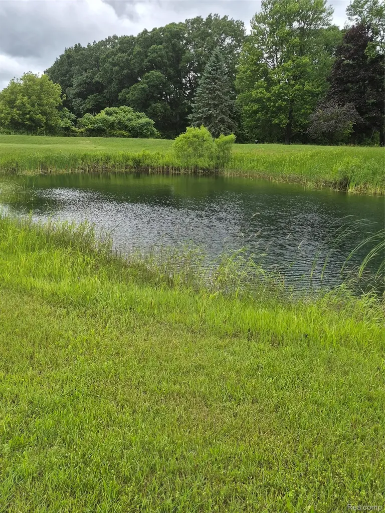 12849 S Delaney Road Perry City MI 48872