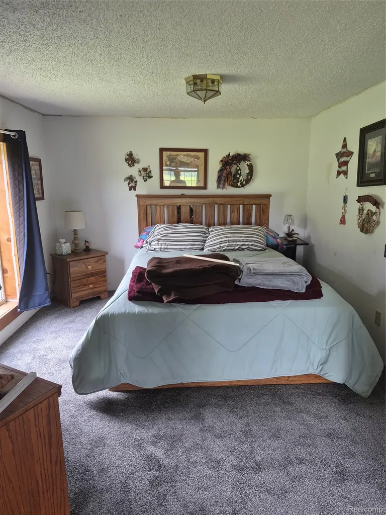 12849 S Delaney Road Perry City MI 48872