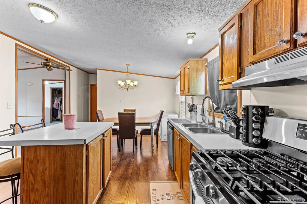 9544 Rhodes Court Salem Township MI 48167