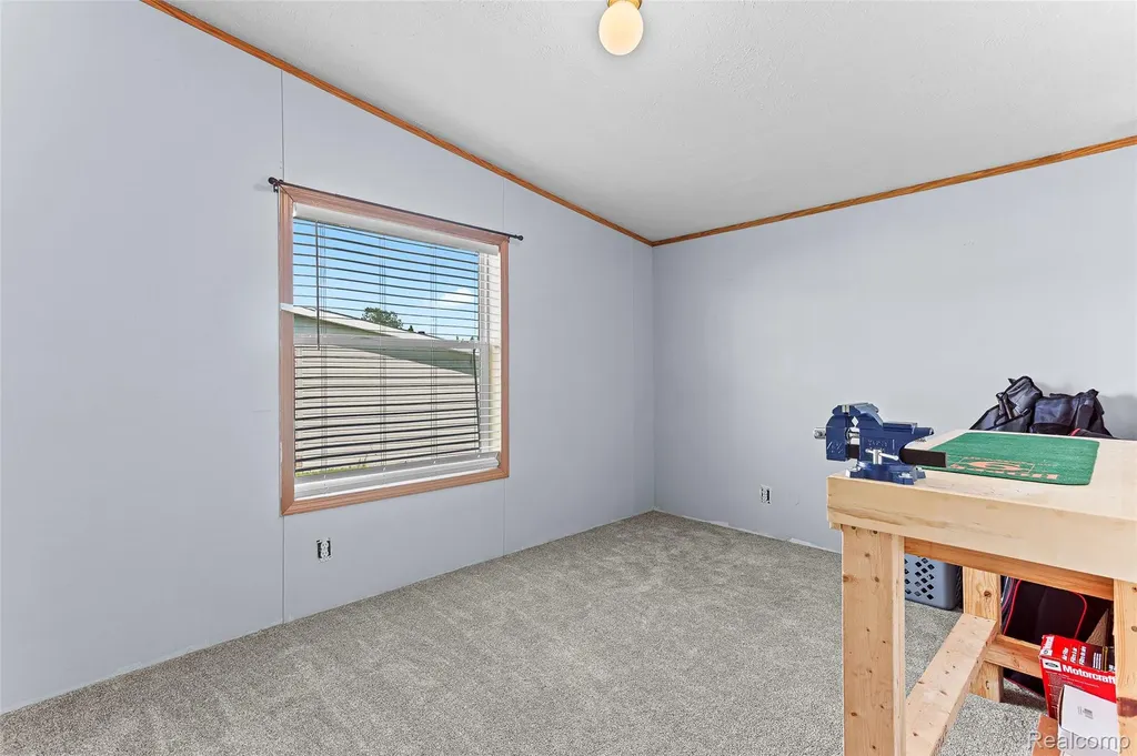 9544 Rhodes Court Salem Township MI 48167
