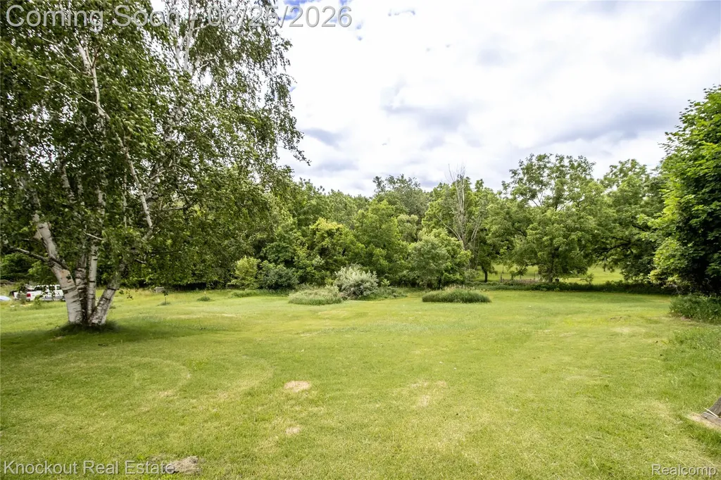 19983 W Ridge Road Chapin Township MI 48841