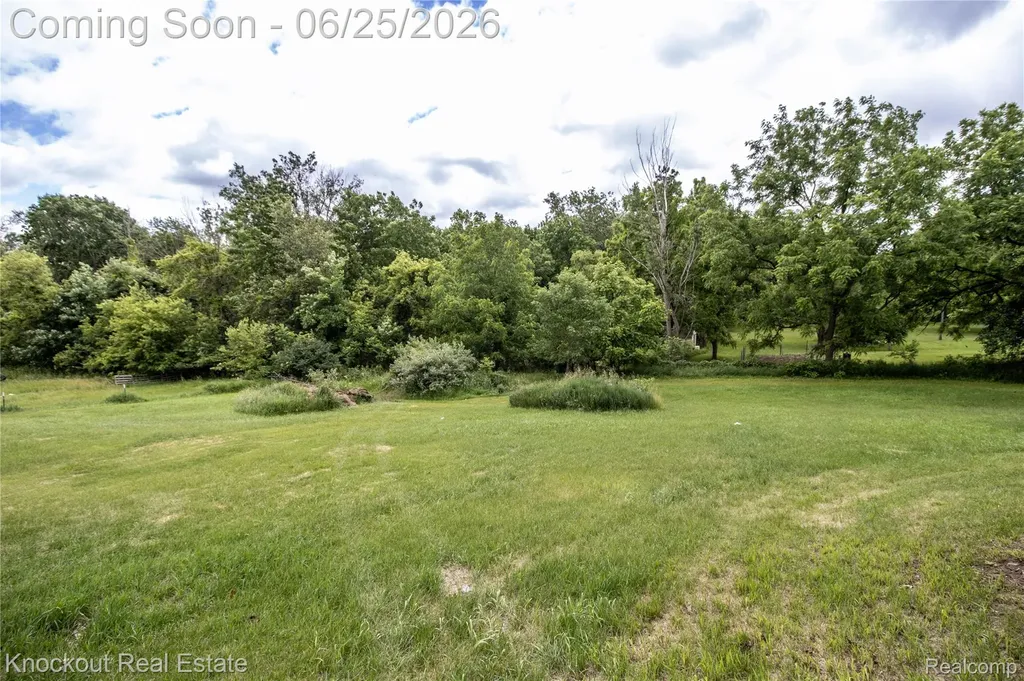 19983 W Ridge Road Chapin Township MI 48841