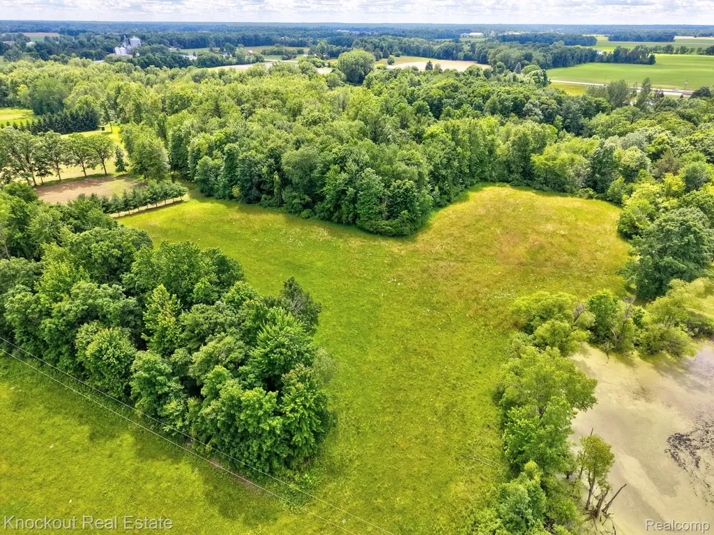 4500 Birch Run Road Millington Township MI 48746