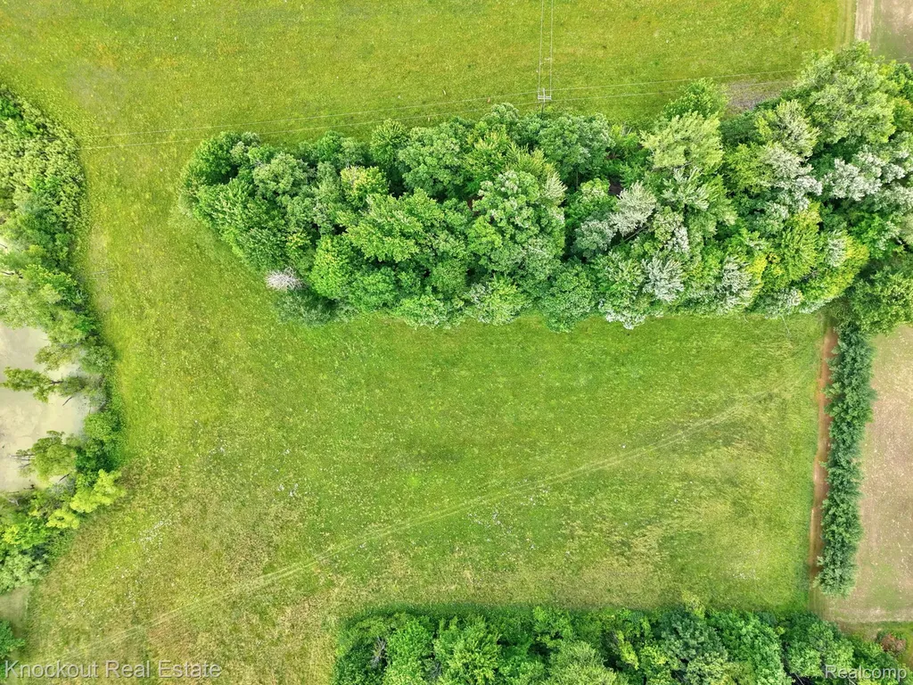 4500 Birch Run Road Millington Township MI 48746