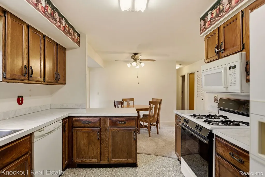 4585 Birch Run Road Millington Township MI 48746