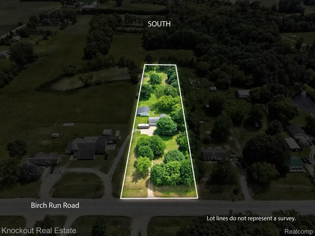 4585 Birch Run Road Millington Township MI 48746