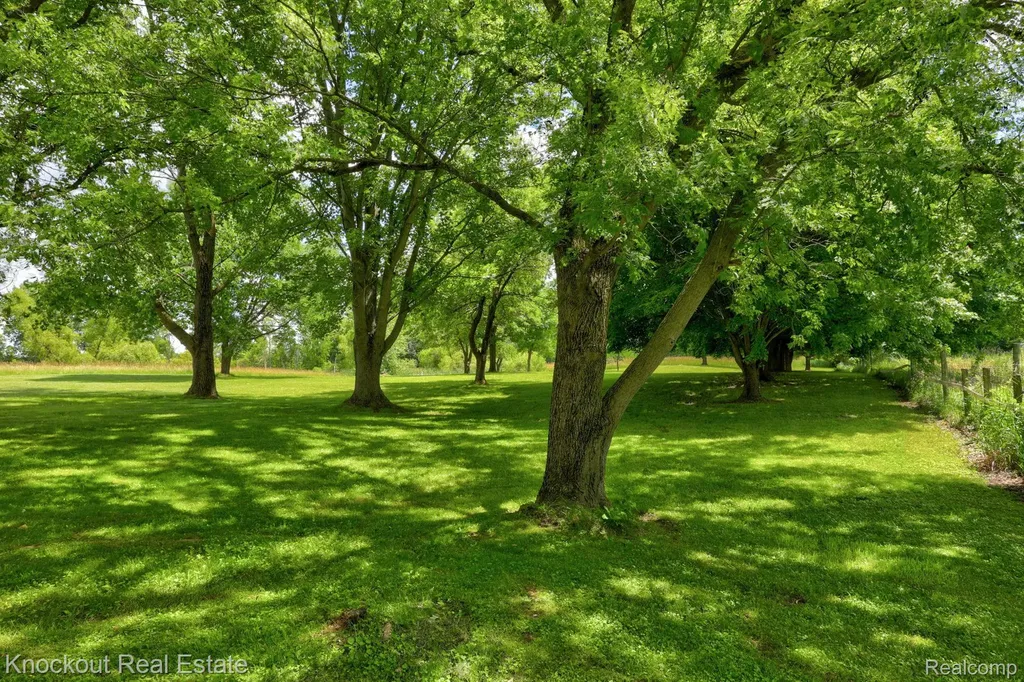 4585 Birch Run Road Millington Township MI 48746