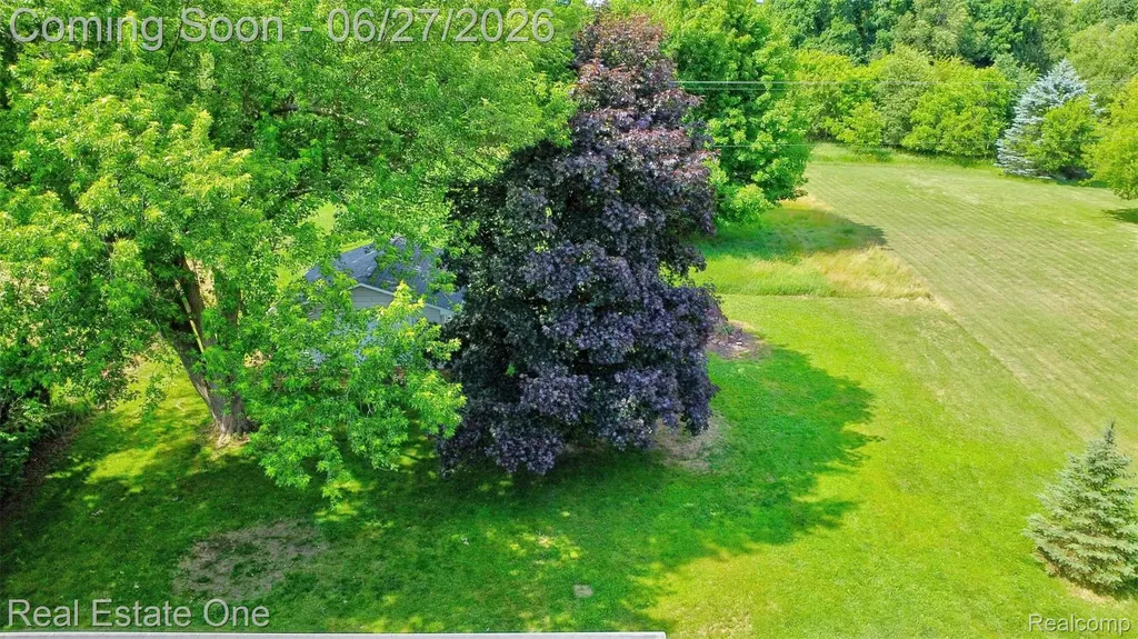 10379 Hegel Road Atlas Township MI 48438