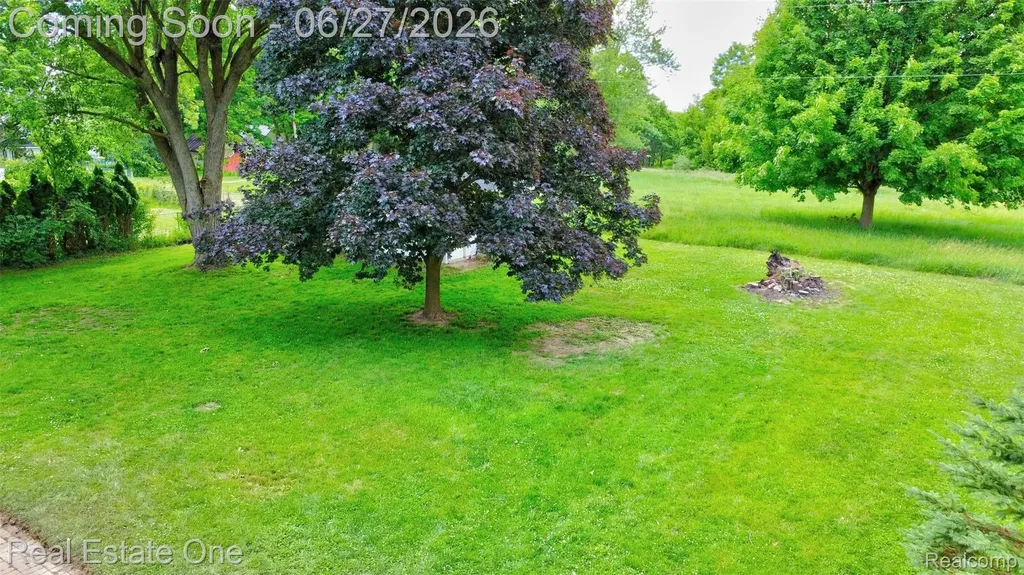 10379 Hegel Road Atlas Township MI 48438