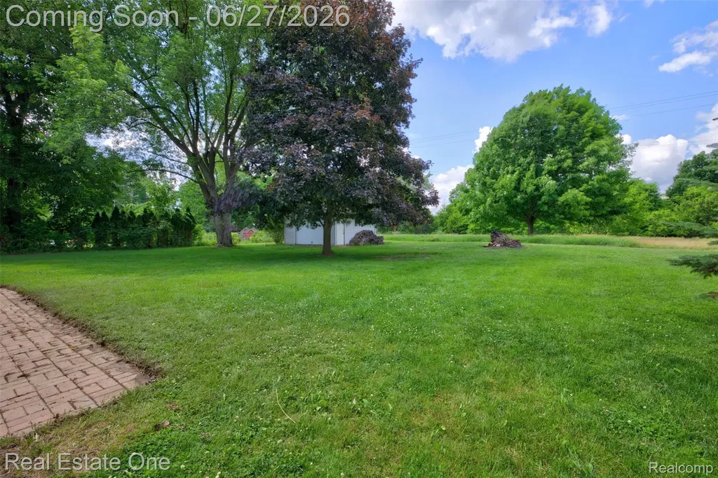 10379 Hegel Road Atlas Township MI 48438