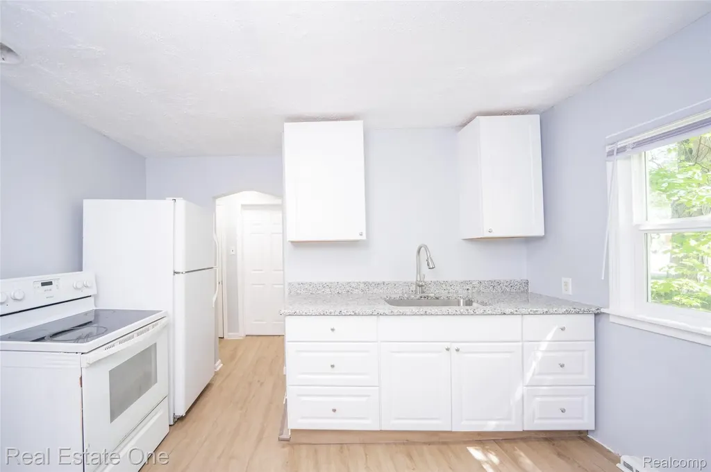 22675 Santa Maria Street Detroit City MI 48219