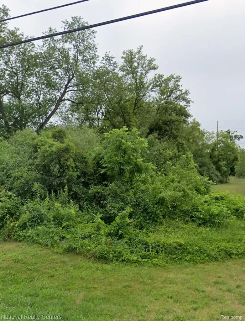 4801 Huston Drive Orion Charter Township MI 48359