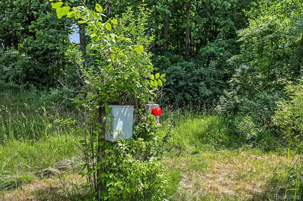 4202 Kingston Road Koylton Township MI 48741