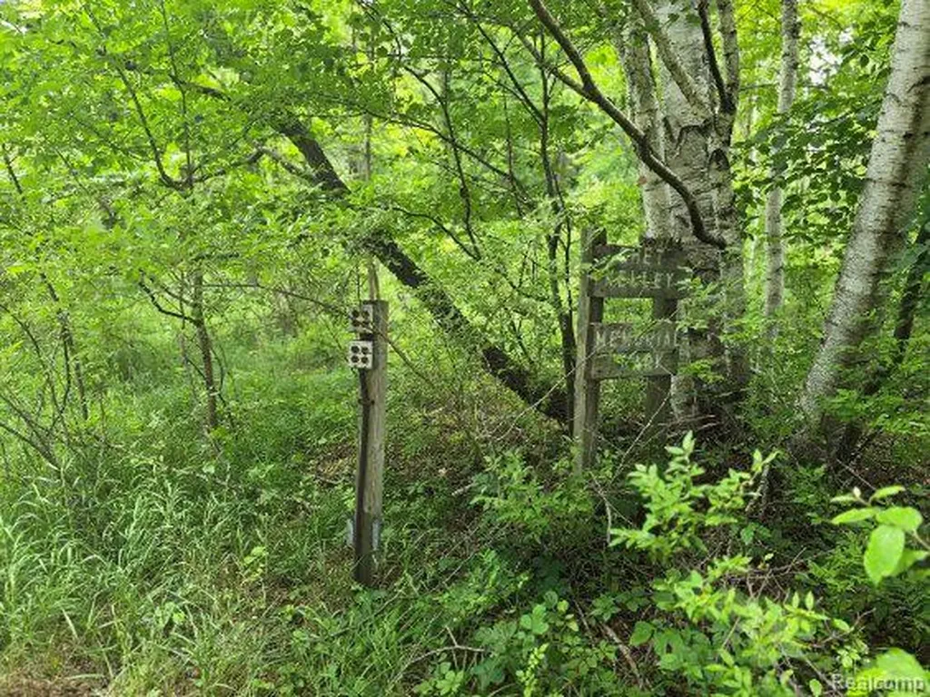 4202 Kingston Road Koylton Township MI 48741