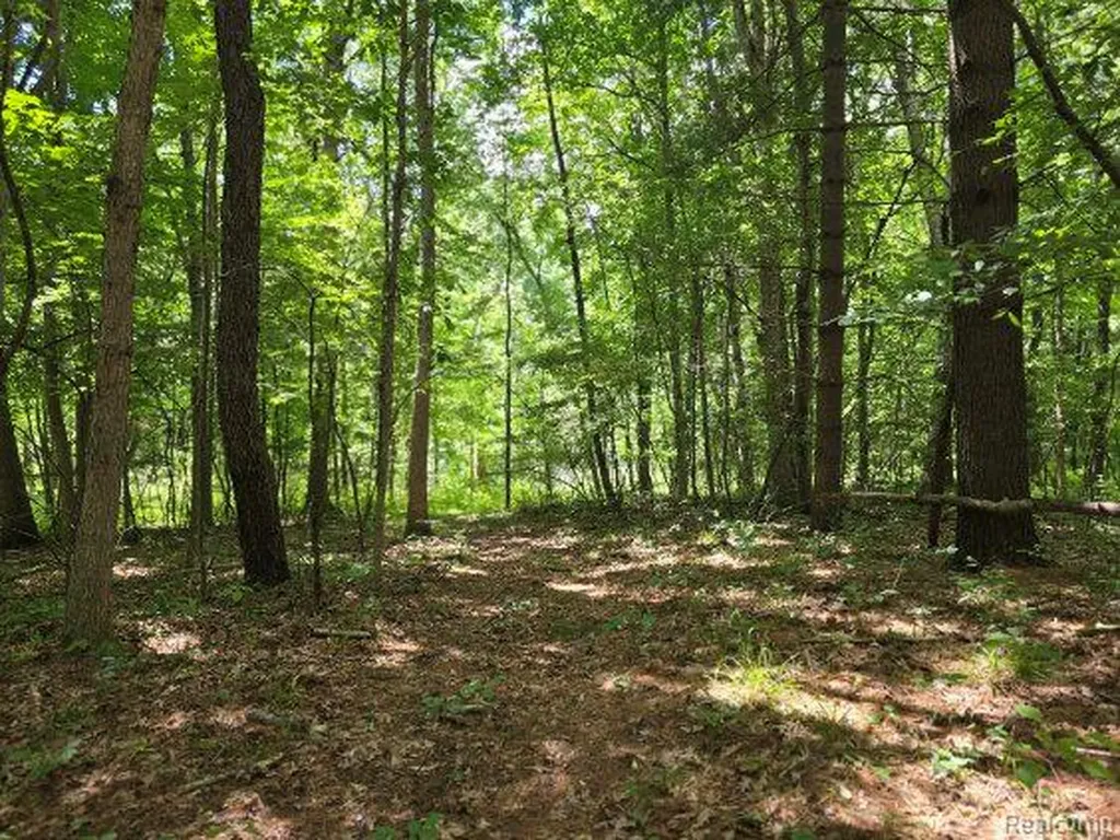 4202 Kingston Road Koylton Township MI 48741
