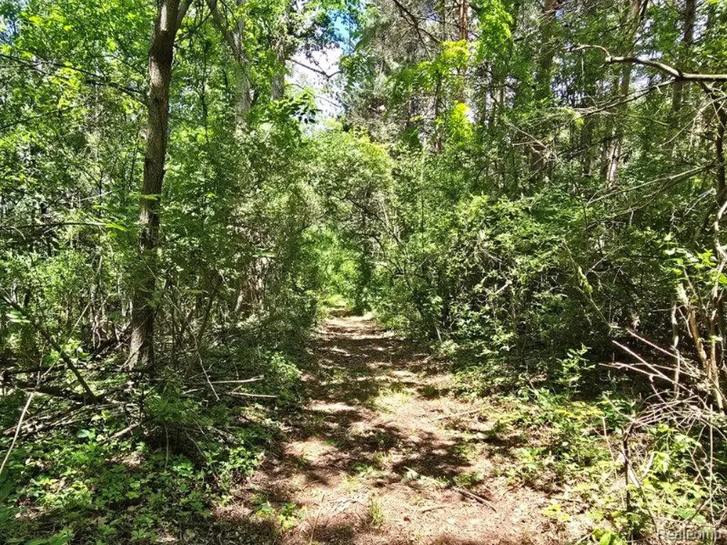 4202 Kingston Road Koylton Township MI 48741