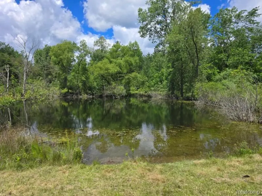 4202 Kingston Road Koylton Township MI 48741