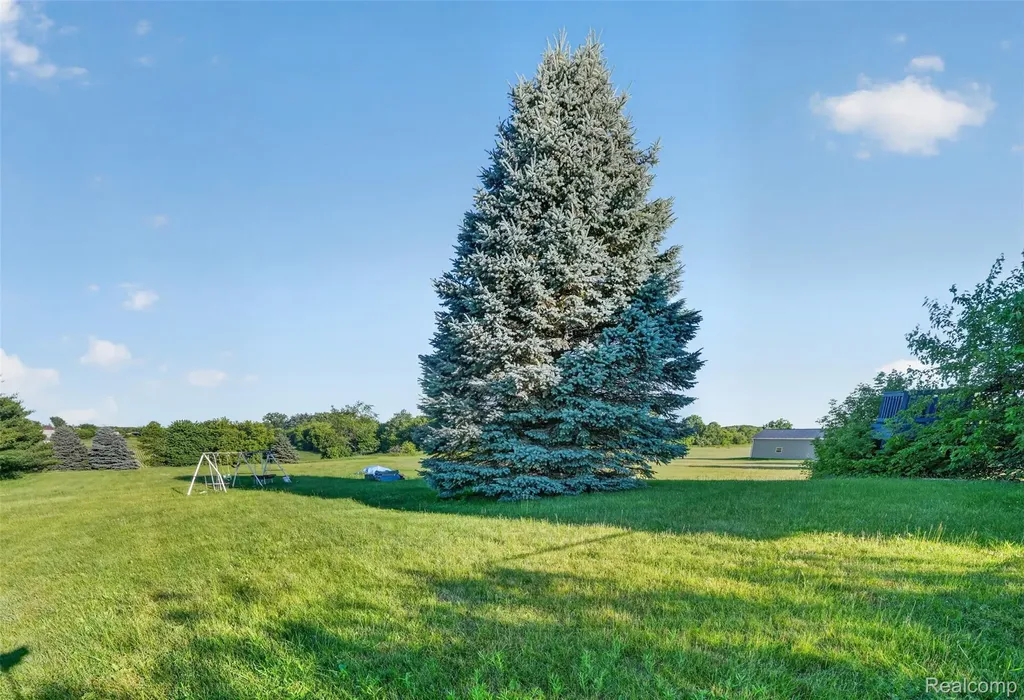 431 Rowley Drive Attica Township MI 48412