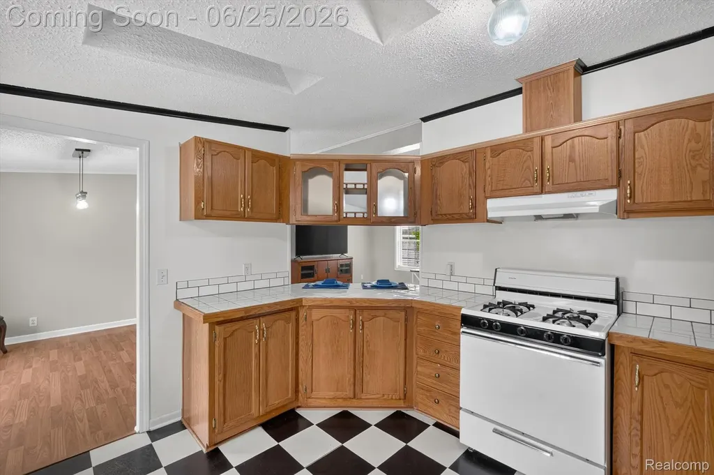 11595 Clearwater Drive Deerfield Township MI 48430