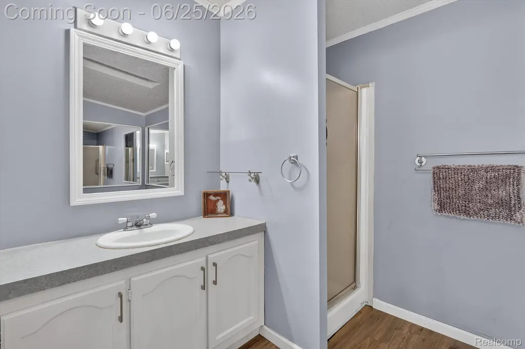 11595 Clearwater Drive Deerfield Township MI 48430