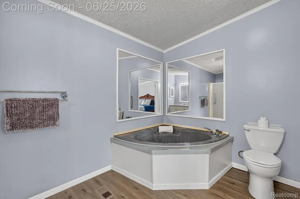 11595 Clearwater Drive Deerfield Township MI 48430
