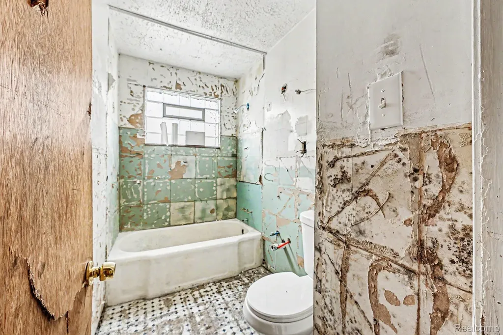 15363 Plainview Avenue Detroit City MI 48223