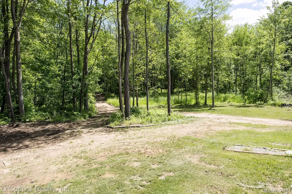 3650 Rabidue Road Clyde Township MI 48049
