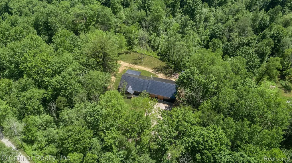 3650 Rabidue Road Clyde Township MI 48049