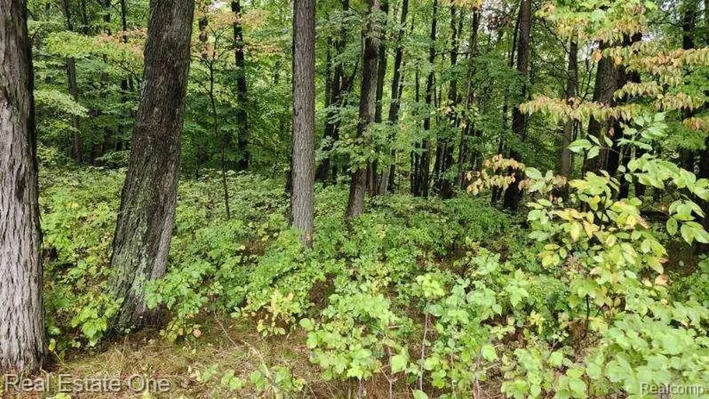 0000 Curtis Road Curtis Road Oxford Charter Township MI 48367