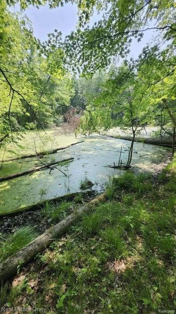 0000 Curtis Road Curtis Road Oxford Charter Township MI 48367