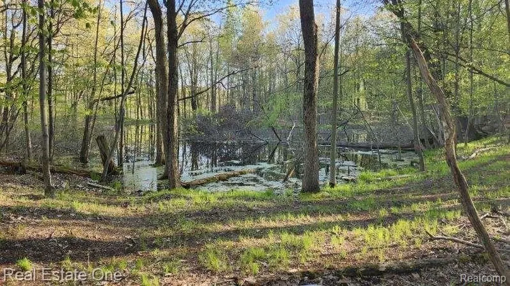 0000 Curtis Road Curtis Road Oxford Charter Township MI 48367