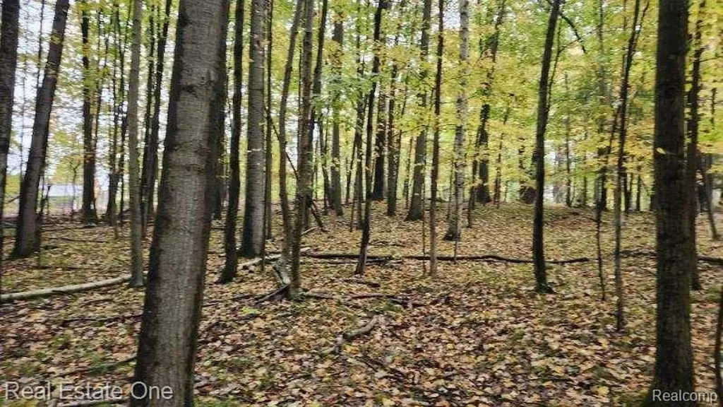 0000 Curtis Road Curtis Road Oxford Charter Township MI 48367
