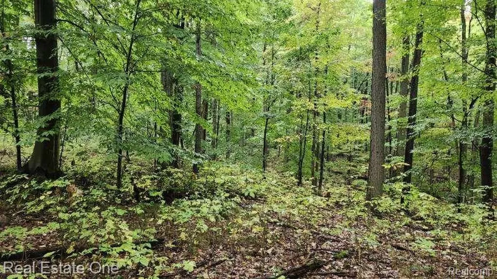 0000 Curtis Road Curtis Road Oxford Charter Township MI 48367