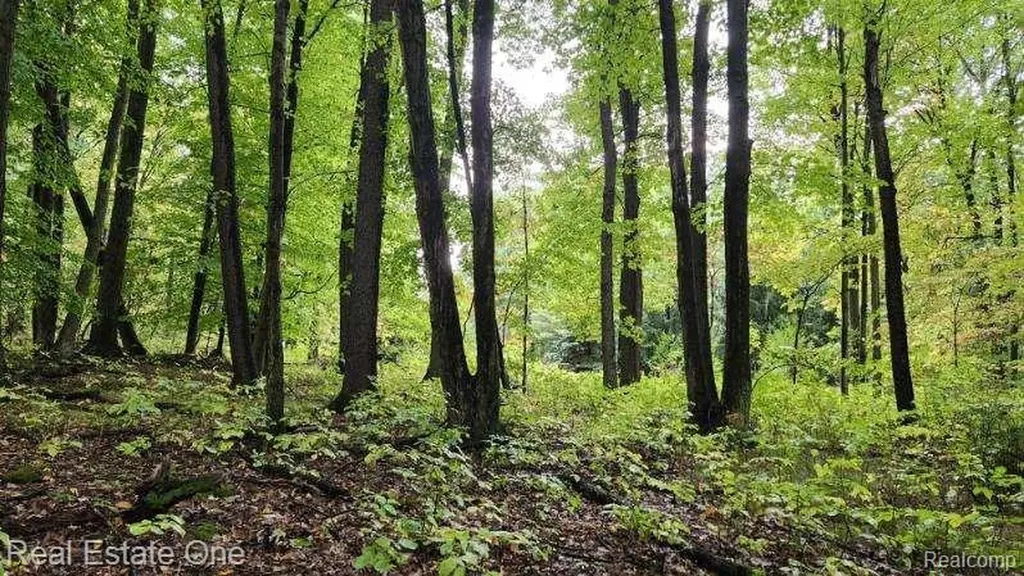 0000 Curtis Road Curtis Road Oxford Charter Township MI 48367