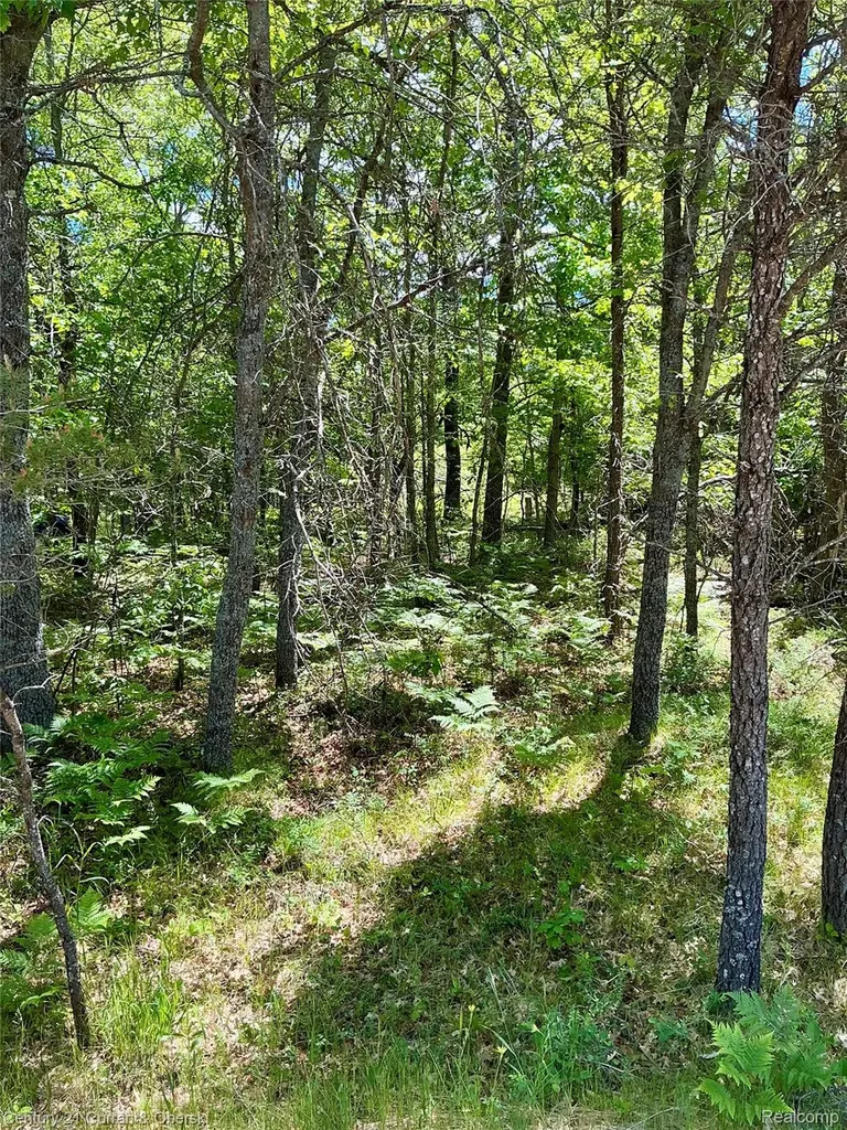 11285 Pebble Drive South Branch Township MI 48653