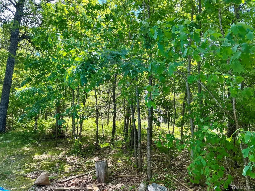 11285 Pebble Drive South Branch Township MI 48653