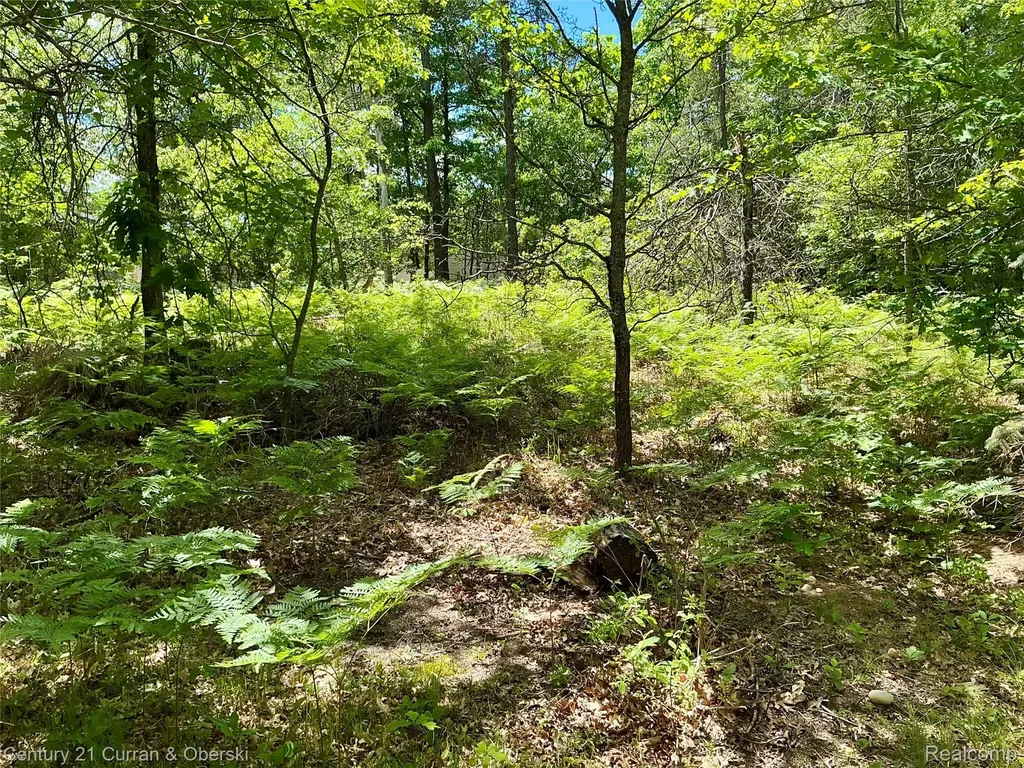 11285 Pebble Drive South Branch Township MI 48653