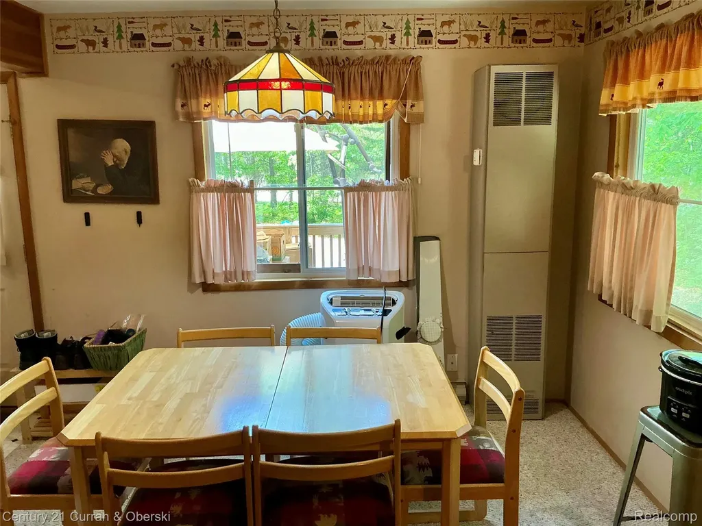 11285 Pebble Drive South Branch Township MI 48653