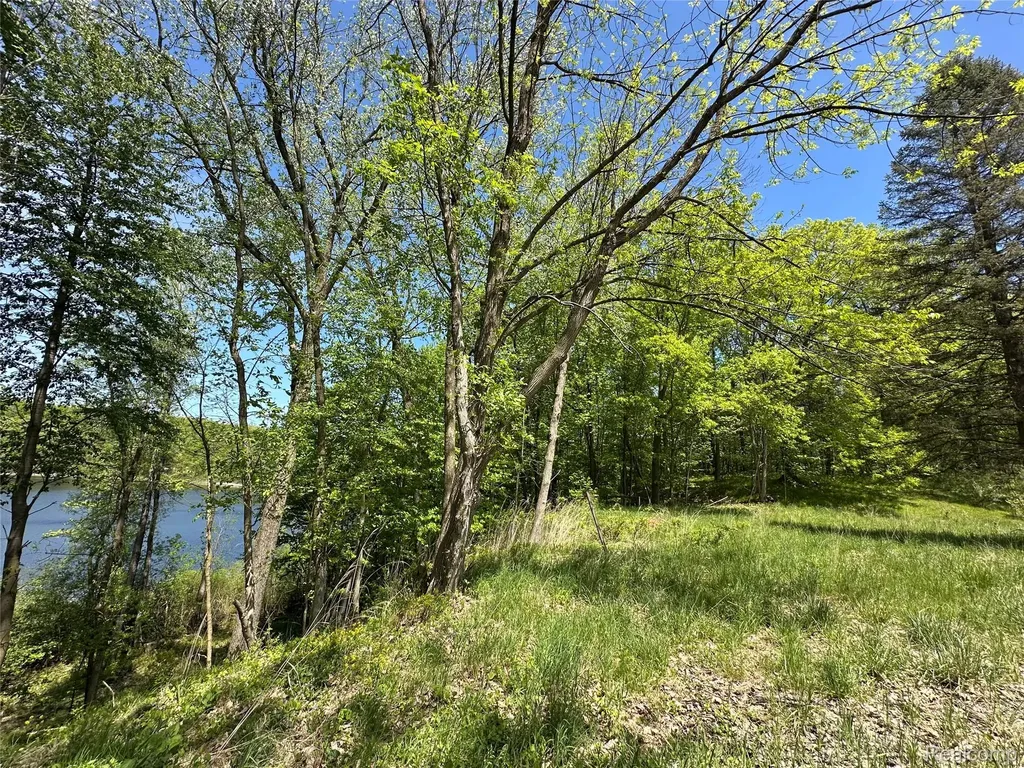 6727 Sherman Street Marathon Township MI 48464
