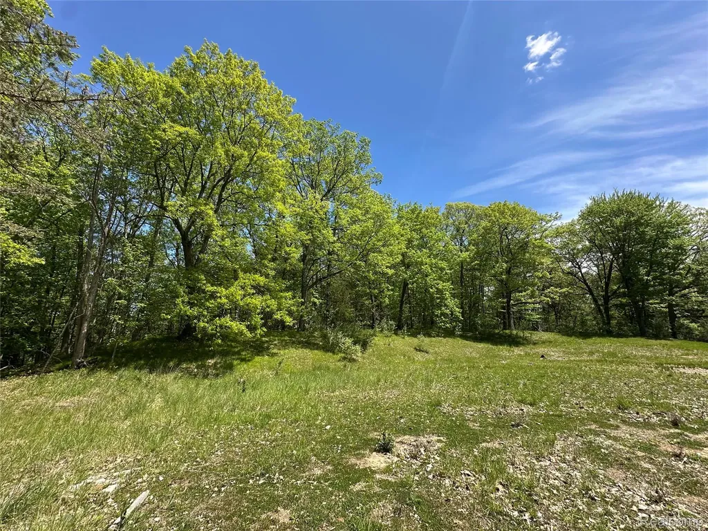 6727 Sherman Street Marathon Township MI 48464