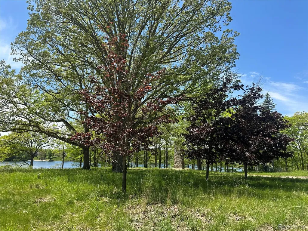 6727 Sherman Street Marathon Township MI 48464