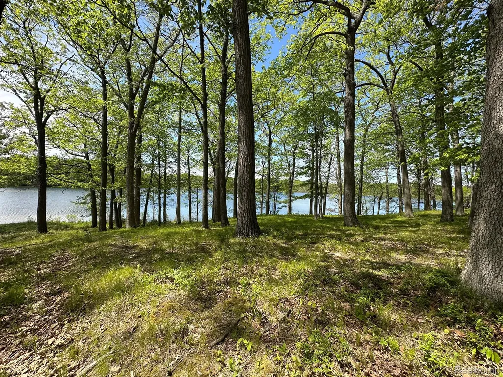 6727 Sherman Street Marathon Township MI 48464
