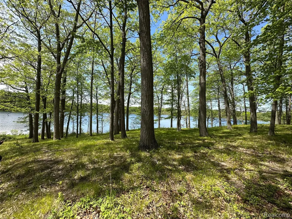 6727 Sherman Street Marathon Township MI 48464