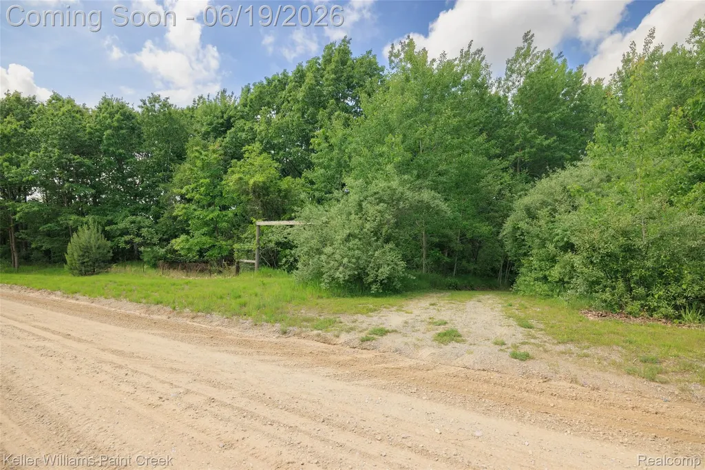 2457 Harrington Road Buel Township MI 48422