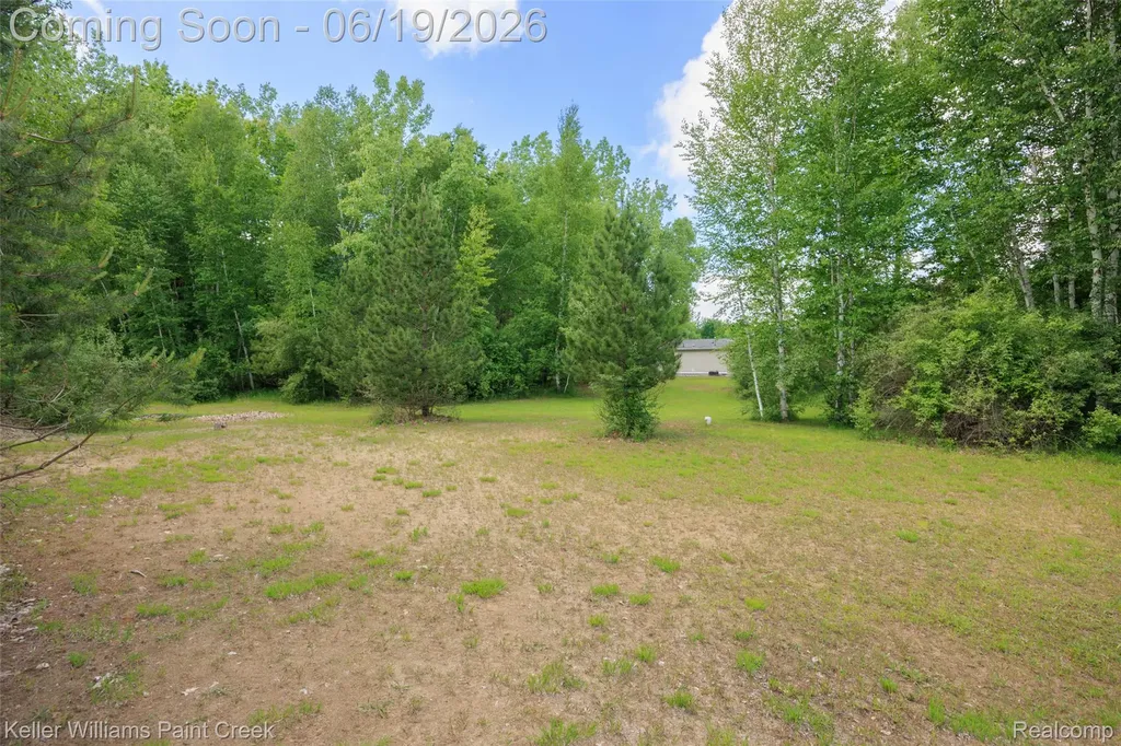 2457 Harrington Road Buel Township MI 48422