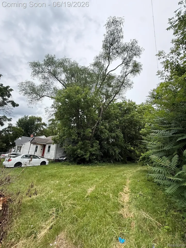 9536 Plainview Avenue Detroit City MI 48228