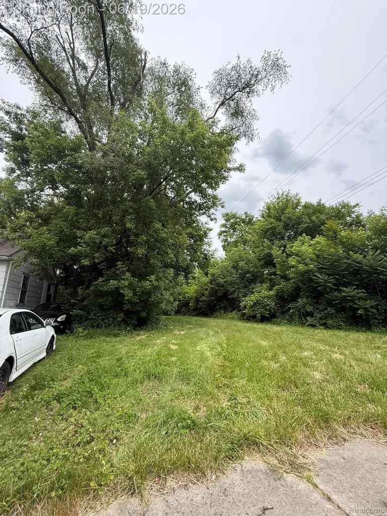 9536 Plainview Avenue Detroit City MI 48228