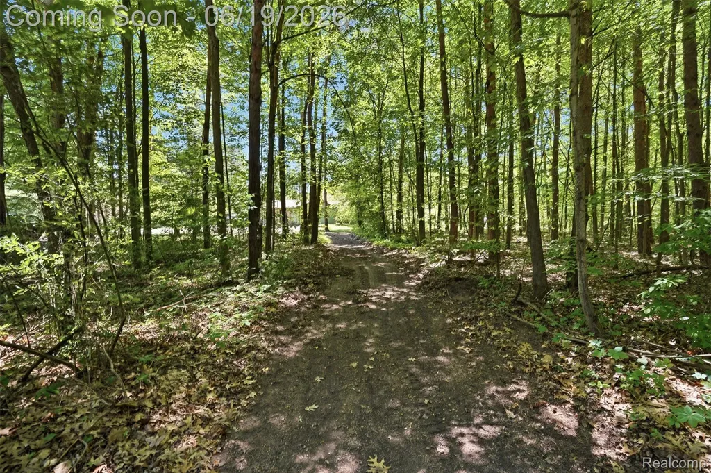 3167 Roods Lake Road Mayfield Township MI 48446
